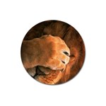 Animal Wallpapers 0028 Magnet 3  (Round)