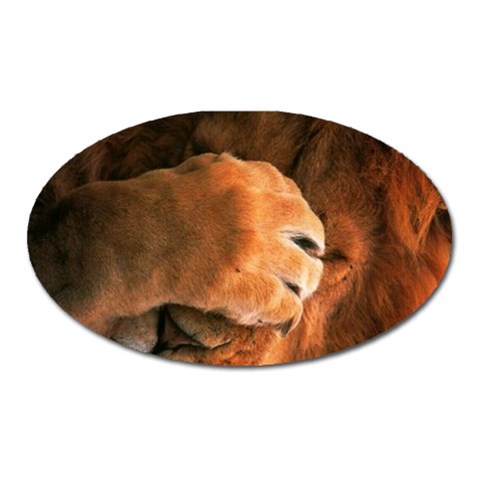 Animal Wallpapers 0028 Magnet (Oval) from ArtsNow.com Front