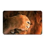 Animal Wallpapers 0028 Magnet (Rectangular)