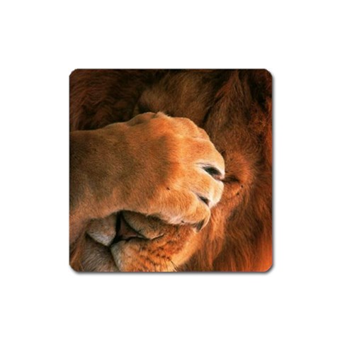 Animal Wallpapers 0028 Magnet (Square) from ArtsNow.com Front