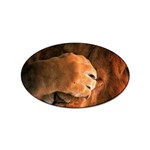 Animal Wallpapers 0028 Sticker Oval (100 pack)