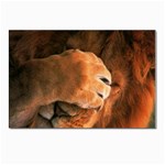 Animal Wallpapers 0028 Postcard 4 x 6  (Pkg of 10)