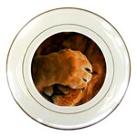 Animal Wallpapers 0028 Porcelain Plate