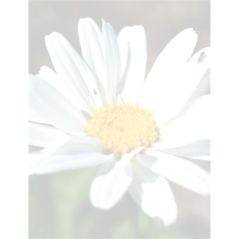 Daisy notepad Large Memo Pads from ArtsNow.com 4.125 x5.5  Memopad