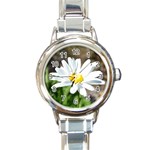 Daisy Round Italian Charm Watch