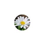 Daisy 1  Mini Button