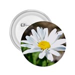 Daisy 2.25  Button