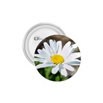 Daisy 1.75  Button