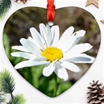 Daisy Ornament (Heart)