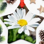 Daisy Ornament (Star)