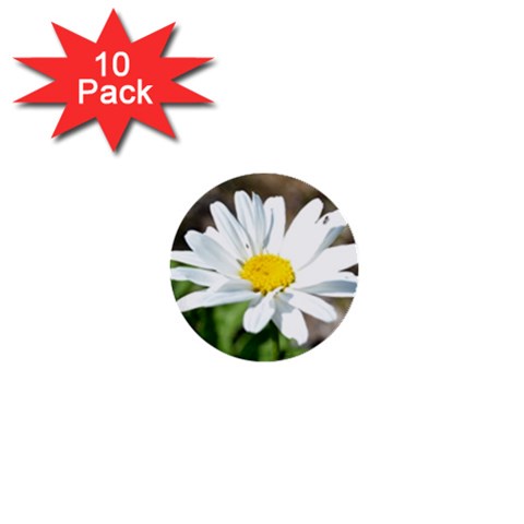 Daisy 1  Mini Button (10 pack)  from ArtsNow.com Front