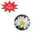 Daisy 1  Mini Button (10 pack) 