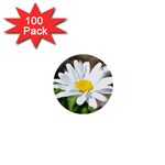 Daisy 1  Mini Button (100 pack) 