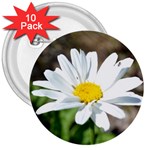 Daisy 3  Button (10 pack)