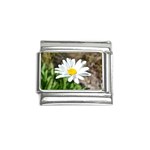 Daisy Italian Charm (9mm)