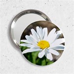 Daisy 2.25  Handbag Mirror