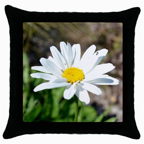 Daisy Throw Pillow Case (Black) from ArtsNow.com Front