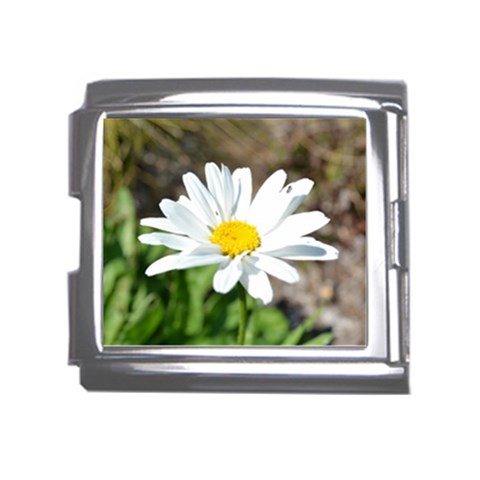 Daisy Mega Link Italian Charm (18mm) from ArtsNow.com Front