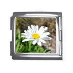 Daisy Mega Link Italian Charm (18mm)