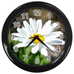 Daisy Wall Clock (Black)