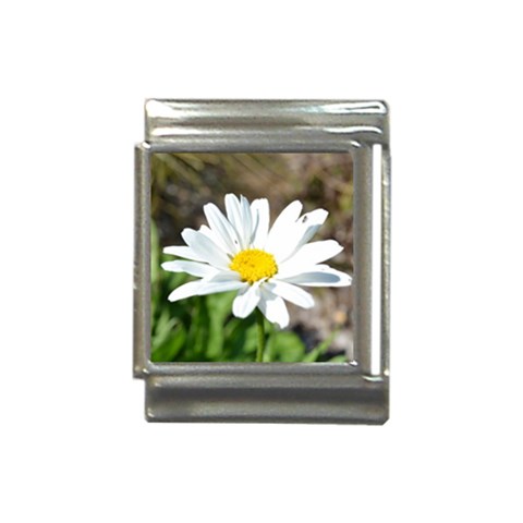 Daisy Italian Charm (13mm) from ArtsNow.com Front