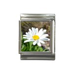 Daisy Italian Charm (13mm)