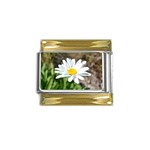 Daisy Gold Trim Italian Charm (9mm)