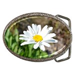 Daisy Belt Buckle