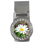 Daisy Money Clip (CZ)