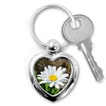 Daisy Key Chain (Heart)