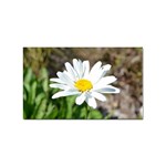 Daisy Sticker (Rectangular)