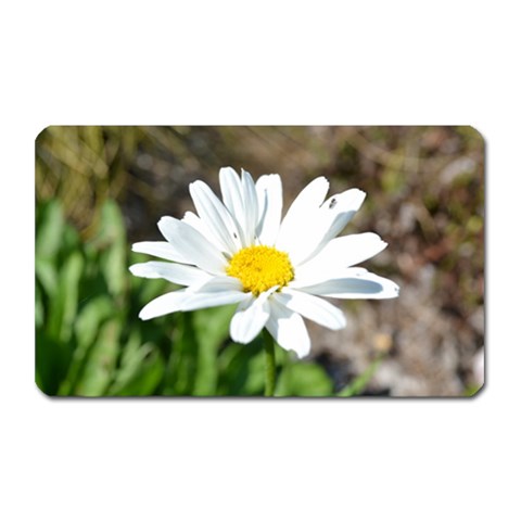 Daisy Magnet (Rectangular) from ArtsNow.com Front
