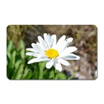 Daisy Magnet (Rectangular)