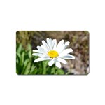 Daisy Magnet (Name Card)