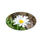 Daisy Sticker Oval (10 pack)