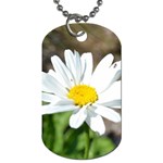 Daisy Dog Tag (Two Sides)