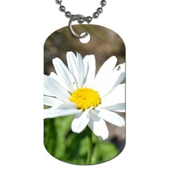 Daisy Dog Tag (Two Sides) from ArtsNow.com Back