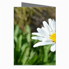 Daisy Greeting Card from ArtsNow.com Right