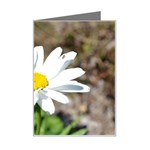 Daisy Mini Greeting Card