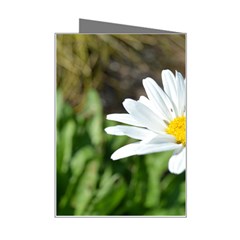 Daisy Mini Greeting Card from ArtsNow.com Right
