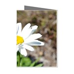 Daisy Mini Greeting Cards (Pkg of 8)