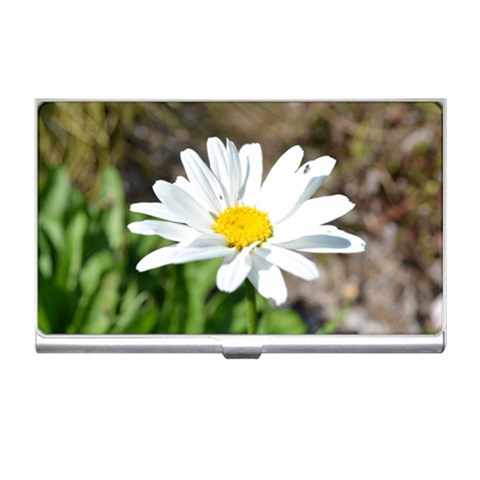 Daisy Business Card Holder from ArtsNow.com Front
