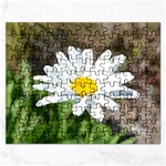 Daisy Jigsaw Puzzle (Rectangular)