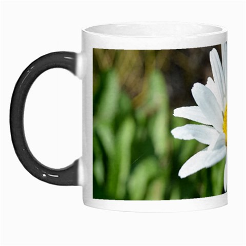 Daisy Morph Mug from ArtsNow.com Left