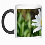 Daisy Morph Mug