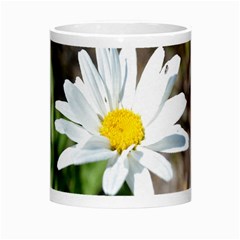 Daisy Morph Mug from ArtsNow.com Center