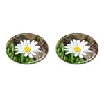 Daisy Cufflinks (Oval)