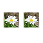 Daisy Cufflinks (Square)