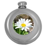 Daisy Hip Flask (5 oz)