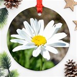 Daisy Round Ornament (Two Sides)